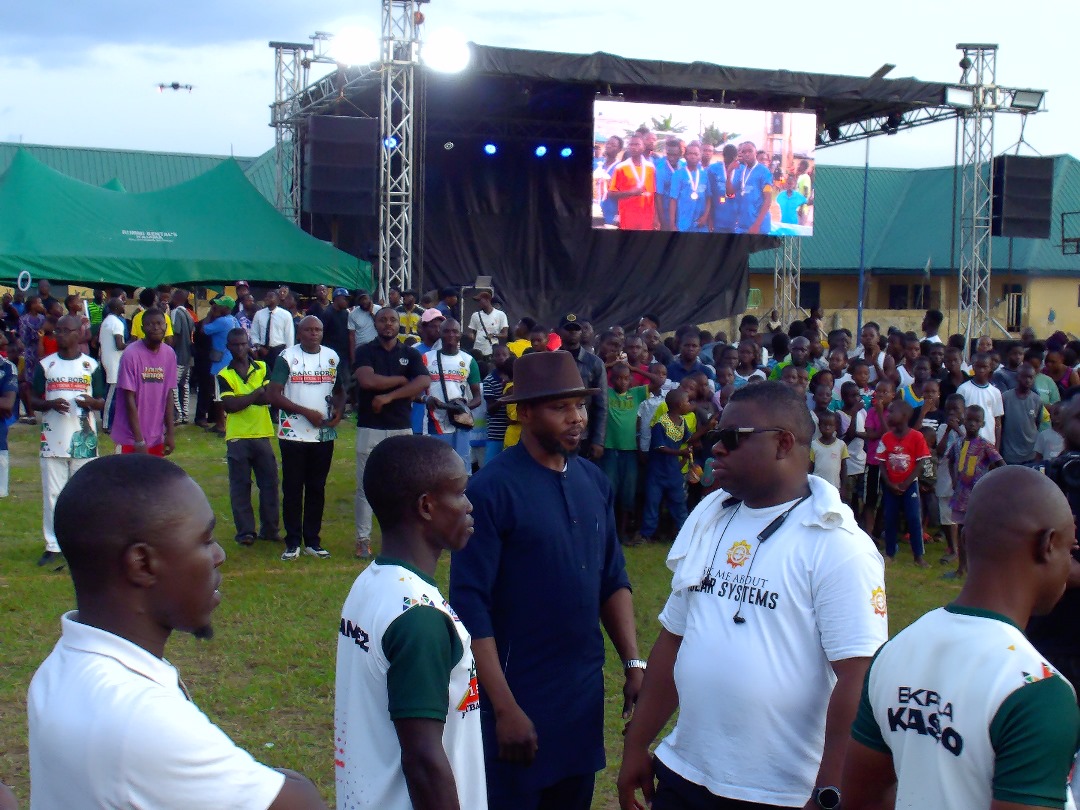 Crowd cheering passionately